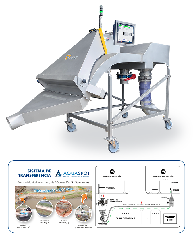Contadora automática de camarón